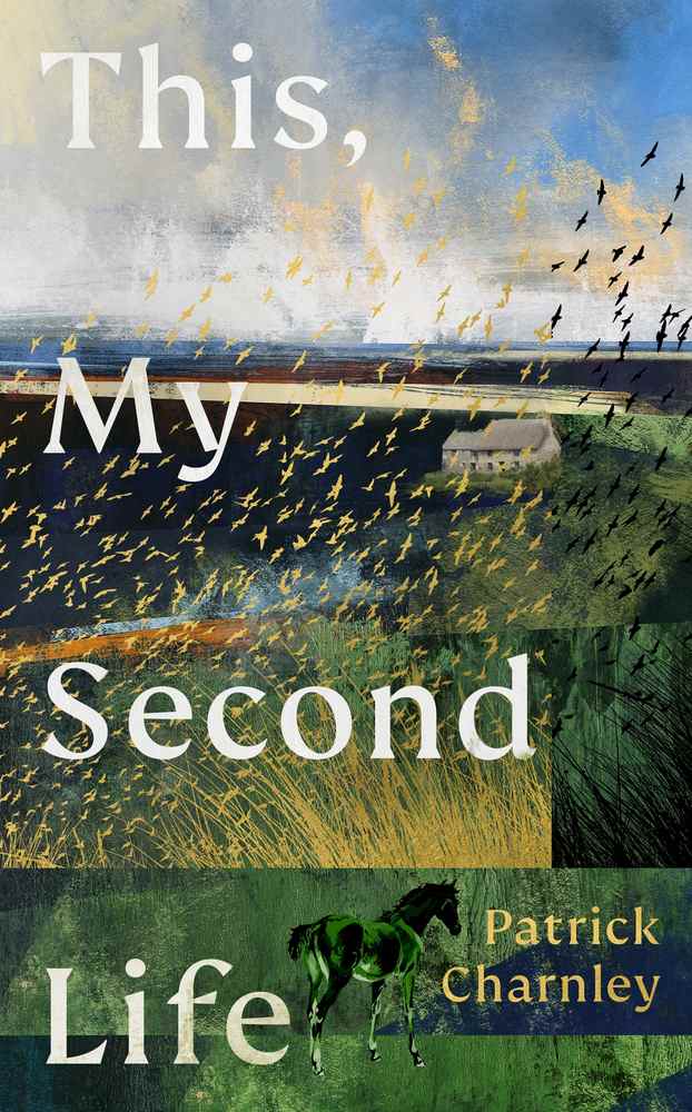 This, My Second Life book cover