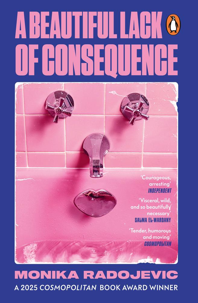 A Beautiful Lack of Consequence book cover