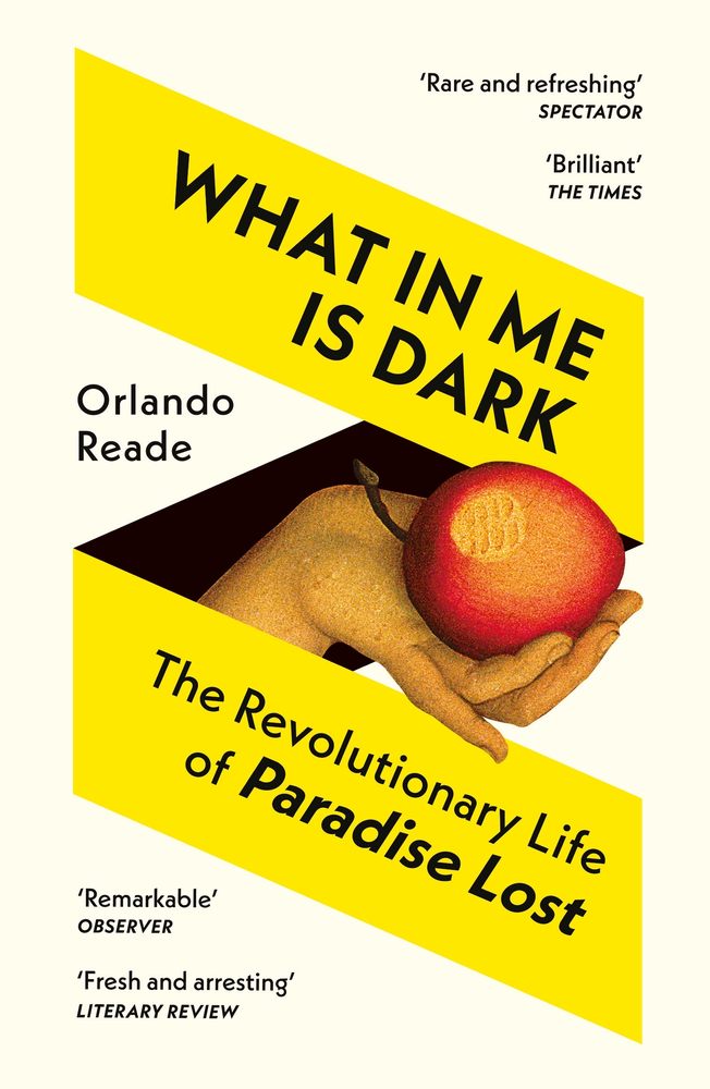 What in Me is Dark book cover