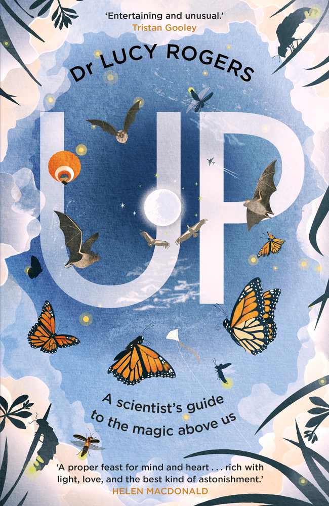 Up book cover