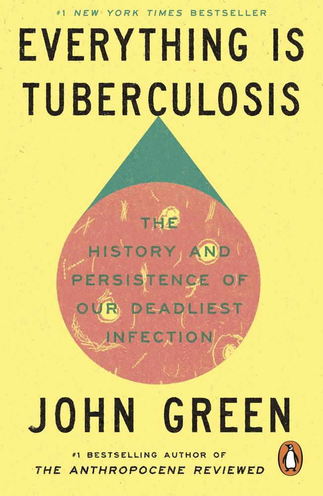Everything Is Tuberculosis book cover