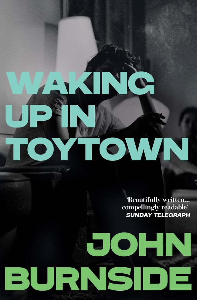 Waking Up in Toytown book cover
