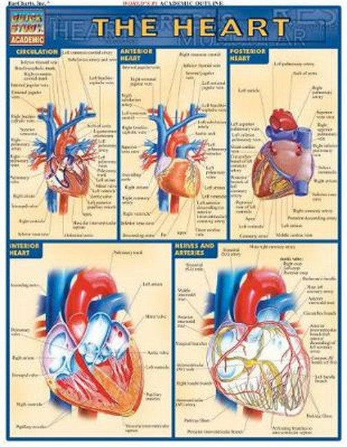 The Heart cover