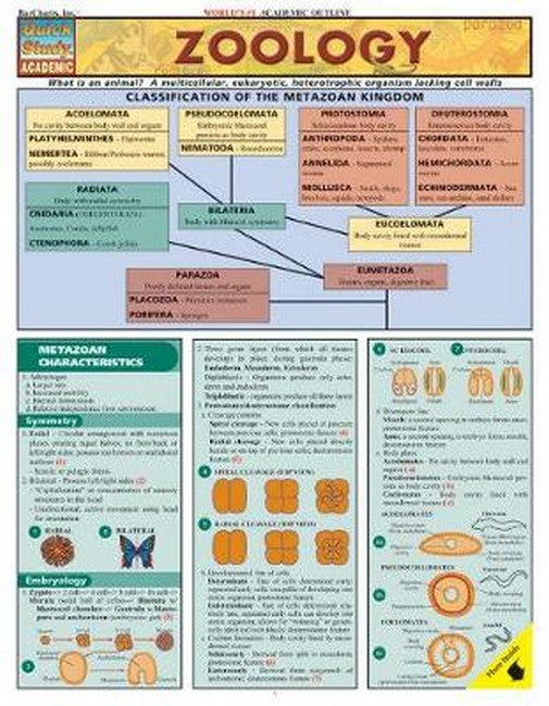 Zoology cover