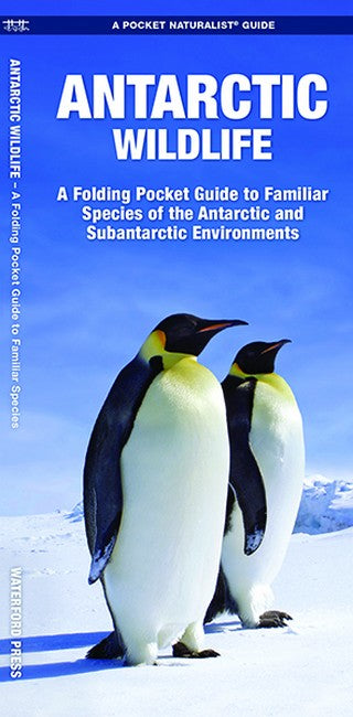 Antarctic Wildlife cover