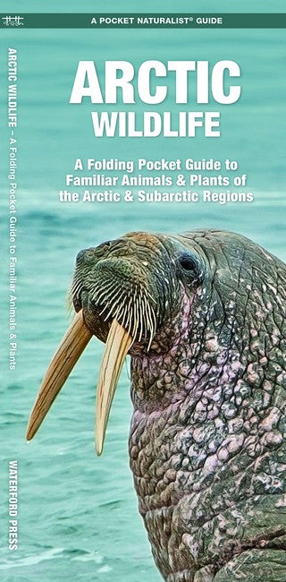 Artic Wildlife cover