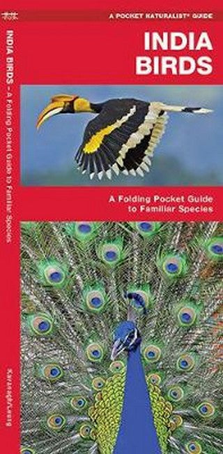 India Birds cover