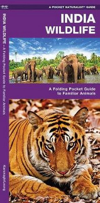 India Wildlife cover