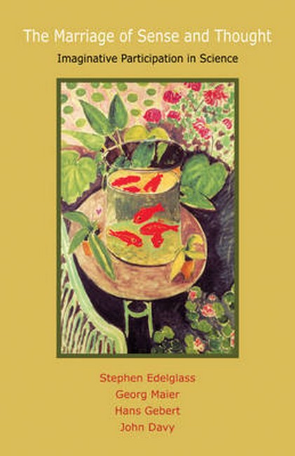 The Marriage of Sense and Thought cover