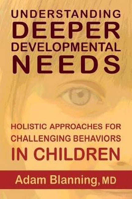 Understanding Deeper Developmental Needs cover