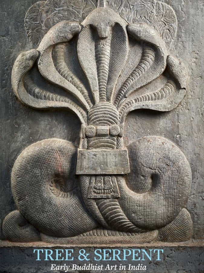 Tree and Serpent: Early Buddhist Art in India cover