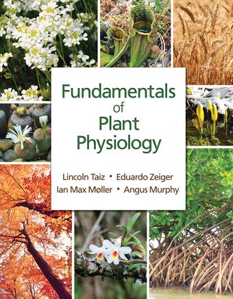 Fundamentals of Plant Physiology book cover
