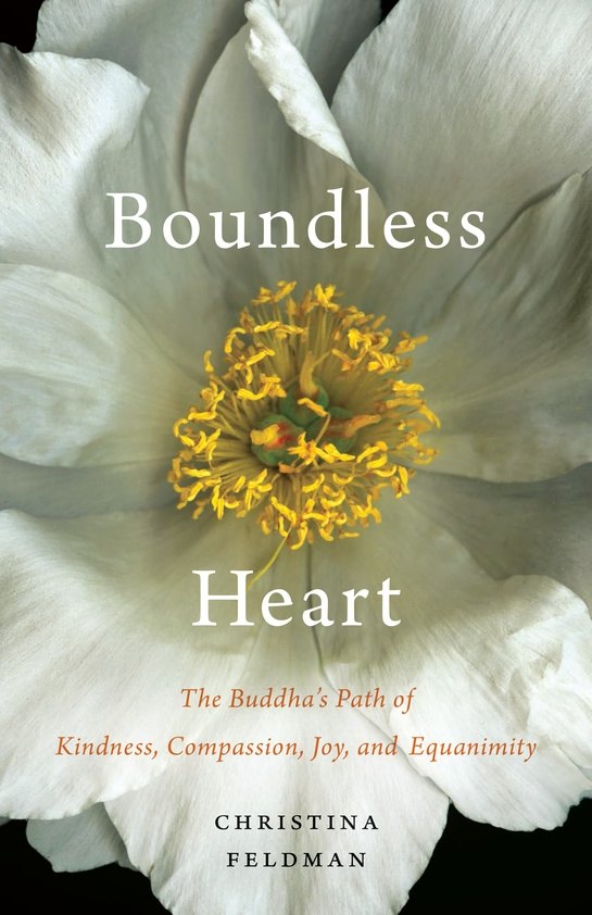 Boundless Heart book cover