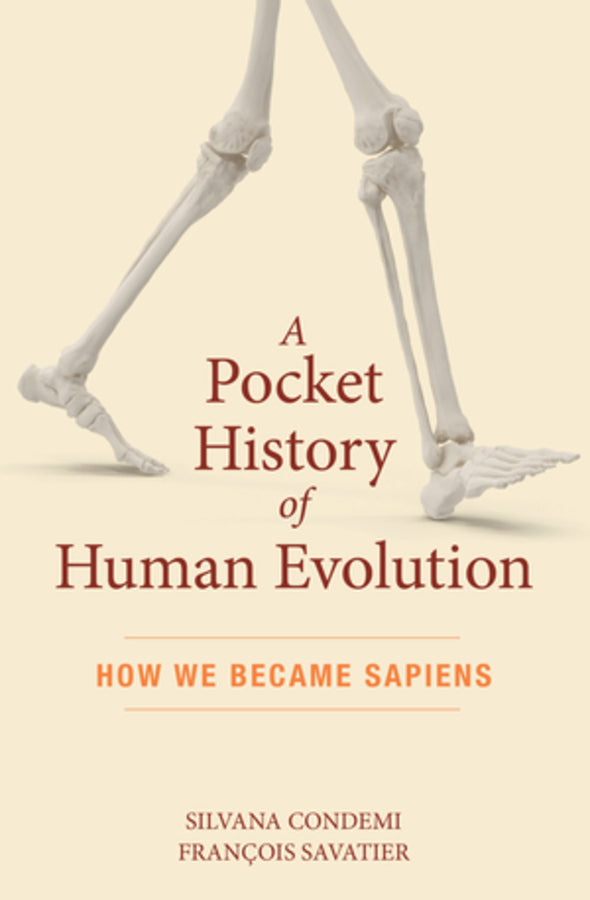 A Pocket History of Human Evolution: How We Became Sapiens cover