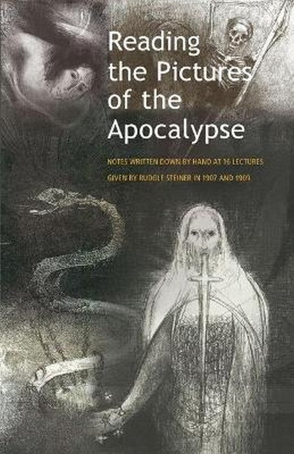 Reading the Pictures of the Apocalypse cover