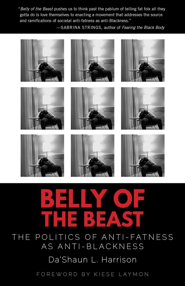 Belly of the Beast book cover