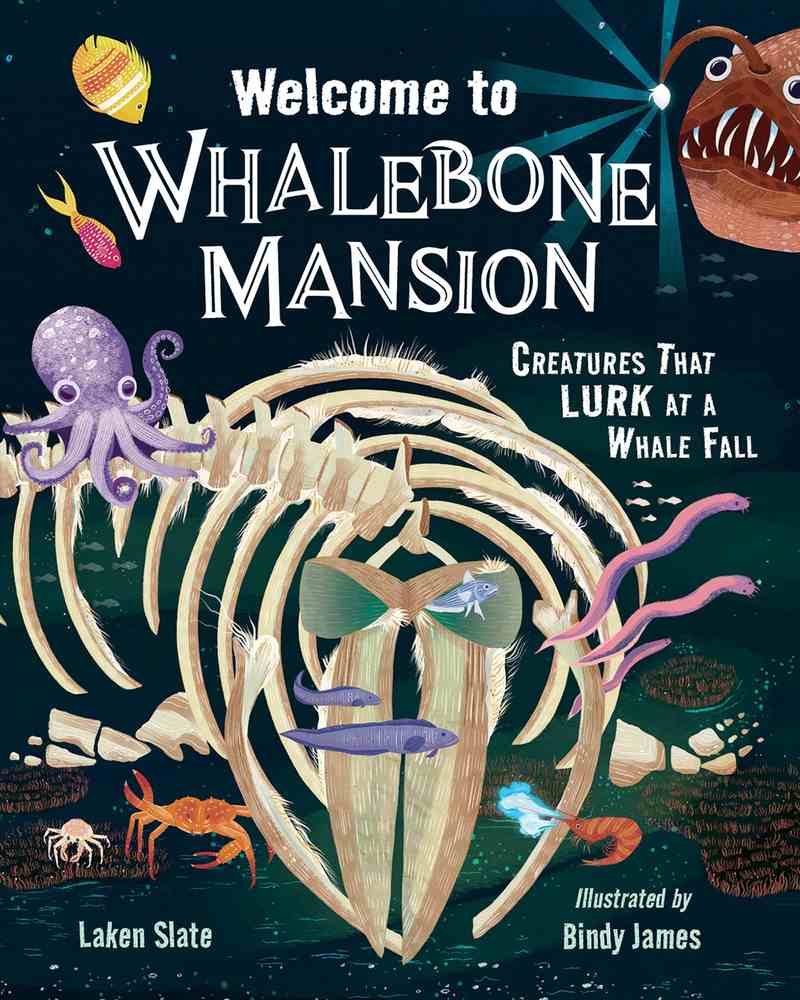Welcome to Whalebone Mansion book cover