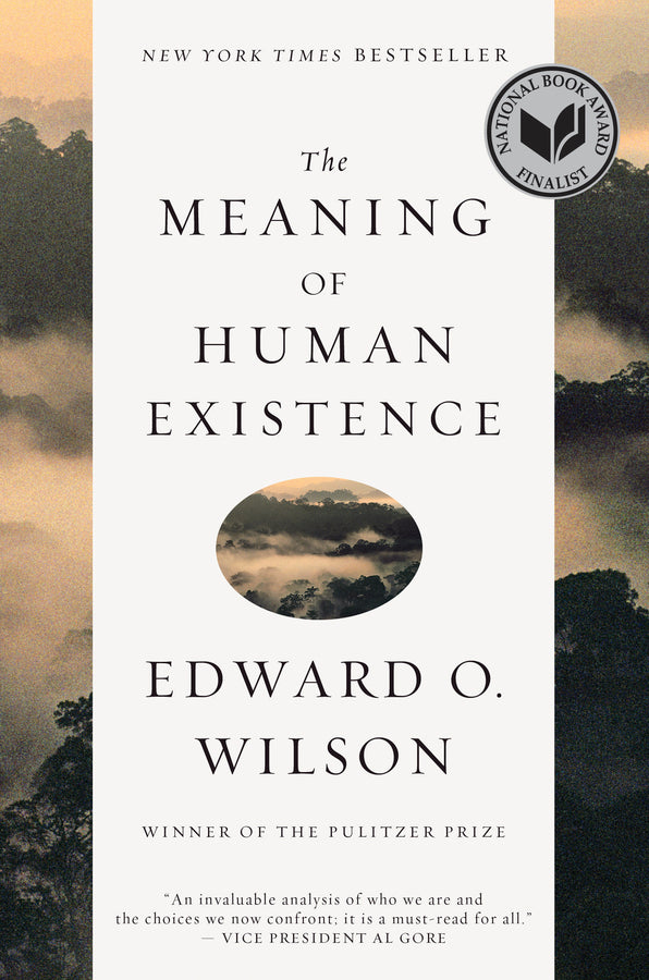 The Meaning of Human Existence cover