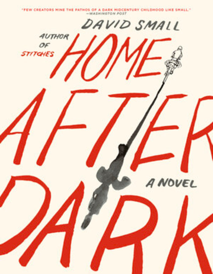 Home After Dark: A Novel cover