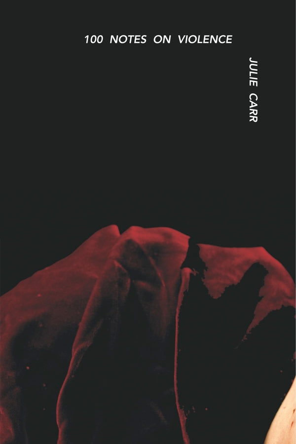 100 Notes on Violence cover