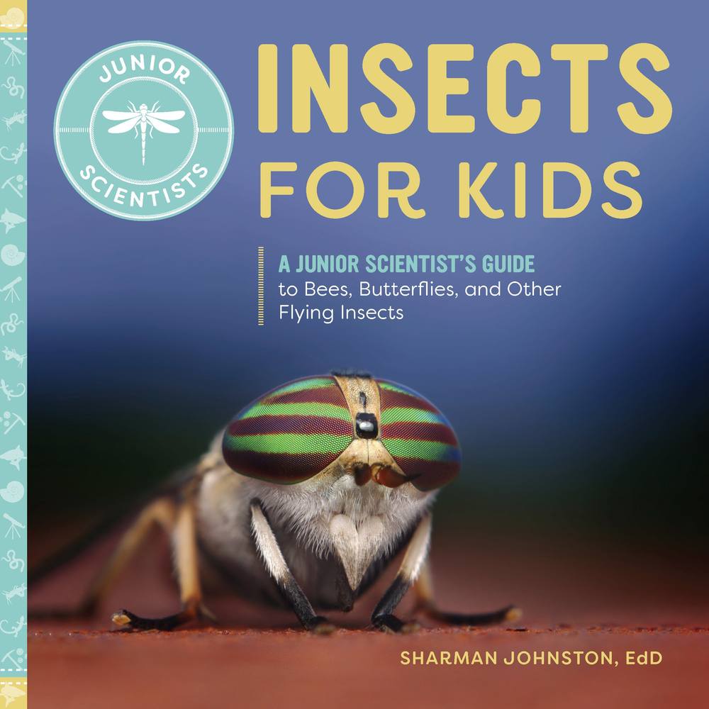 Insects for Kids book cover