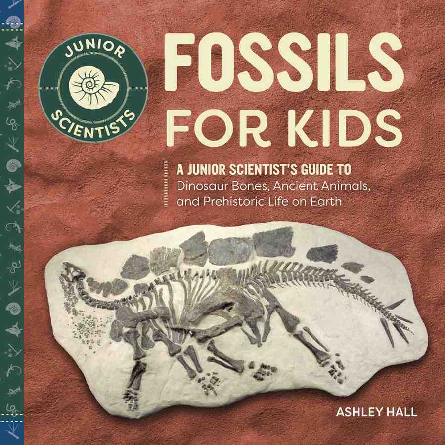 Fossils for Kids book cover