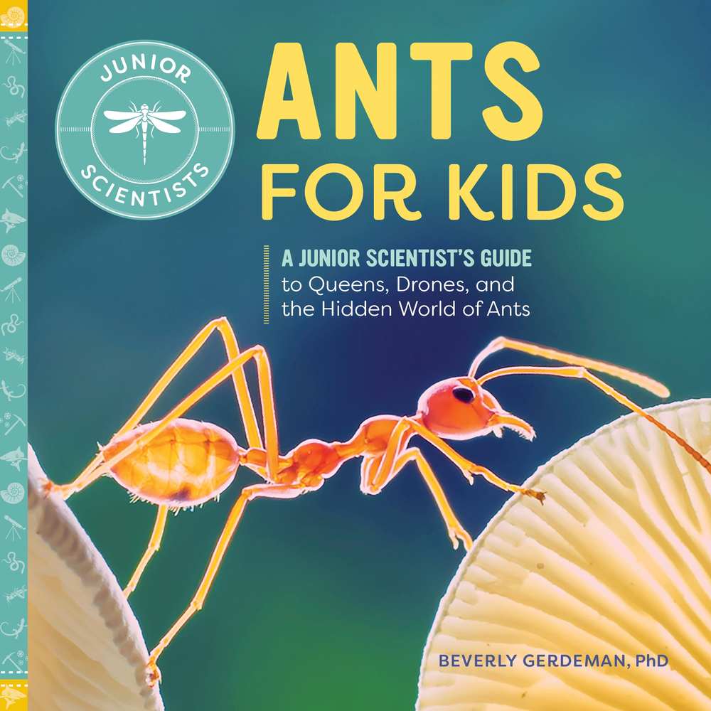 Ants for Kids book cover