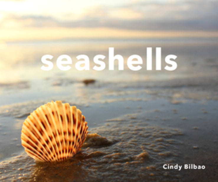 Seashells cover