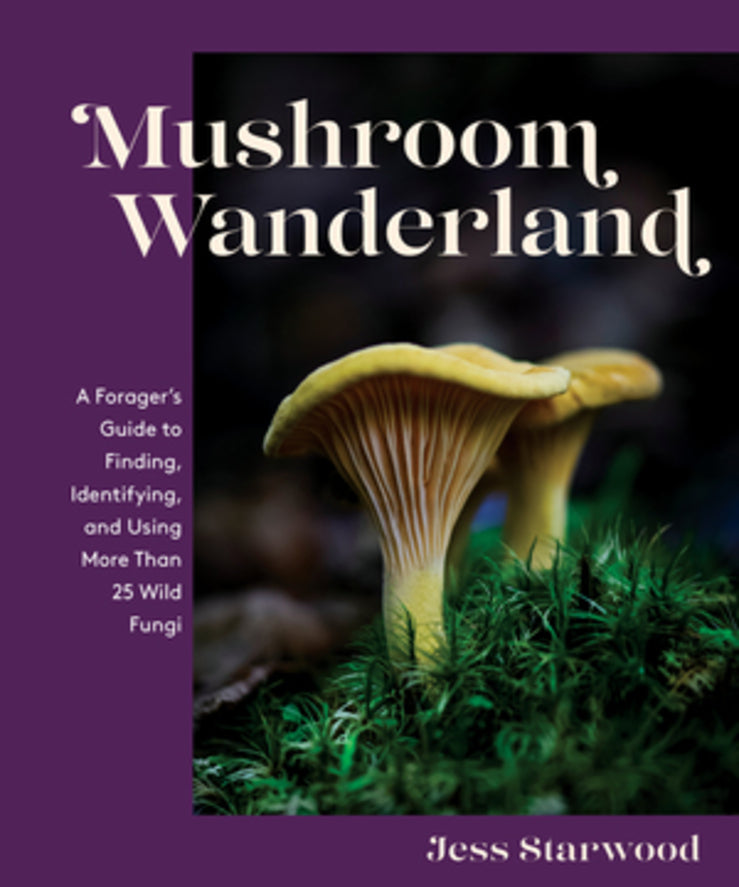 Mushroom Wanderland: A Forager's Guide to Finding, Identifying, and Using 25 Wild Fungi cover