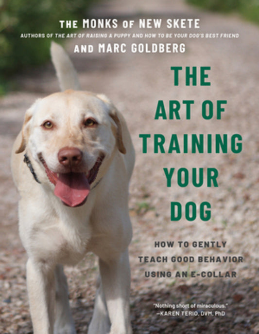 The Art of Training Your Dog: How to Gently Teach Good Behavior Using an E-Collar cover