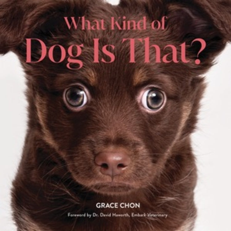 What Kind of Dog Is That? cover