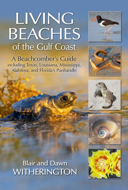 Living Beaches of the Gulf Coast: A Beachcombers Guide Including Texas, Louisiana, Mississippi, Alabama an