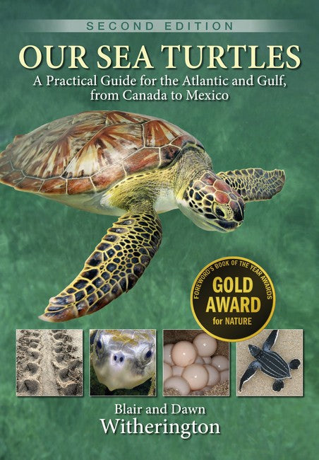 Our Sea Turtles cover