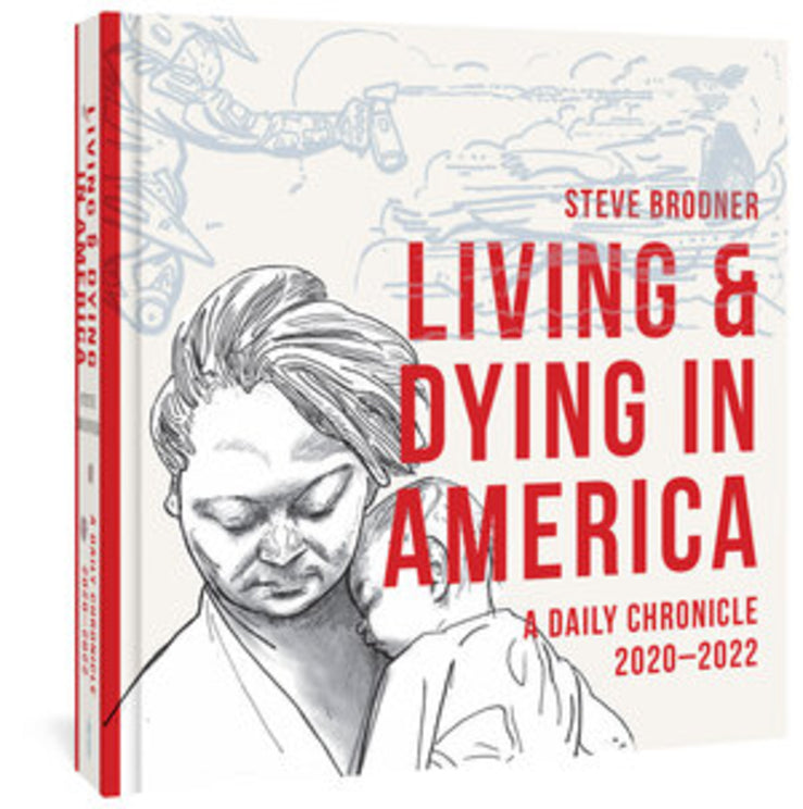 Living & Dying in America: A Daily Chronicle 2020-2022 cover