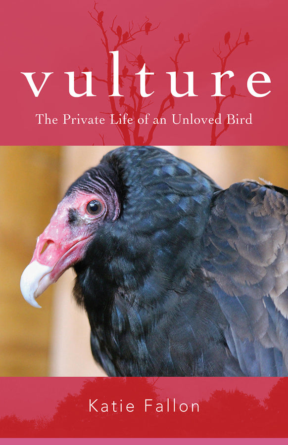 Vulture: The Private Life of an Unloved Bird cover
