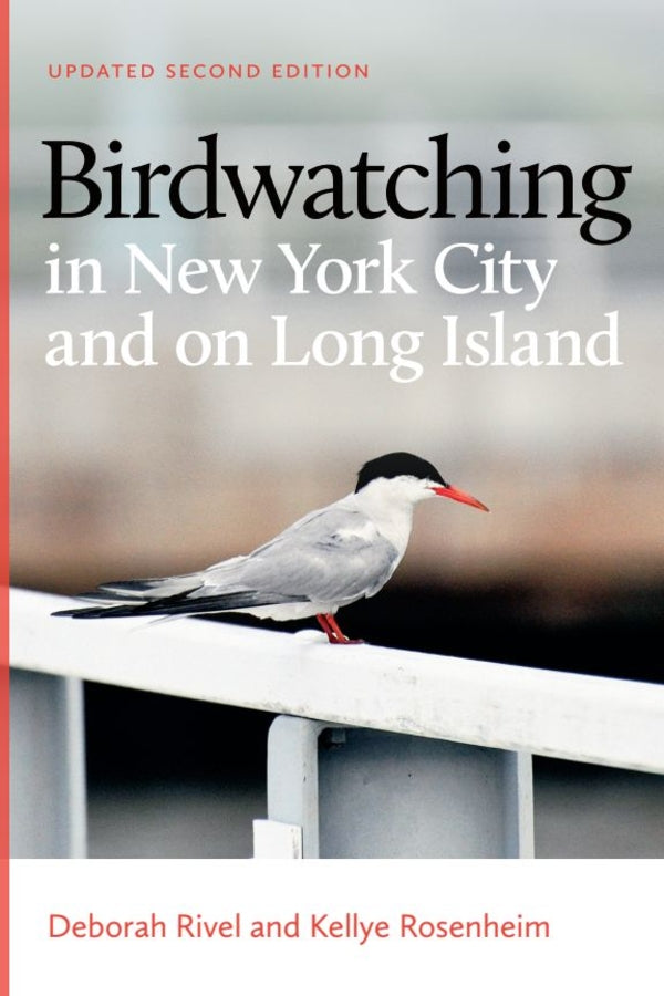Birdwatching in New York City and on Long Island cover