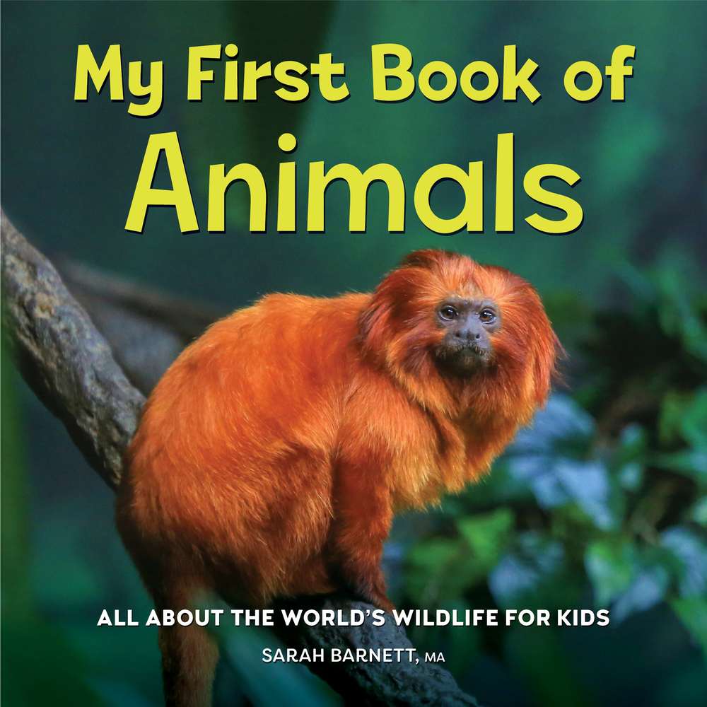 My First Book of Animals book cover