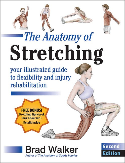 The Anatomy of Stretching cover