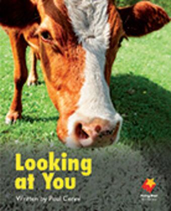 Looking at You book cover