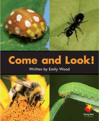 Come and Look! book cover