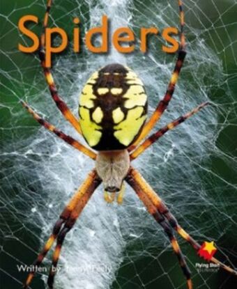 Spiders book cover