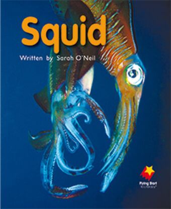 Squid book cover