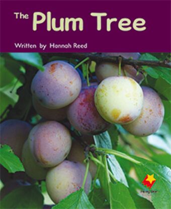 The Plum Tree book cover