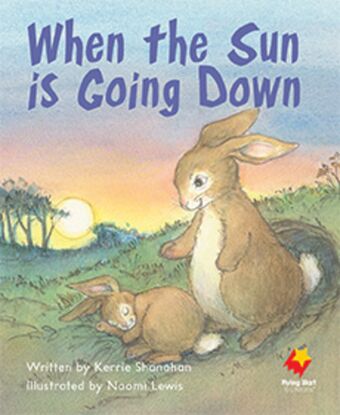 When the Sun is Going Down book cover