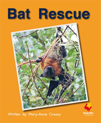Bat Rescue book cover