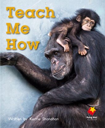 Teach Me How book cover