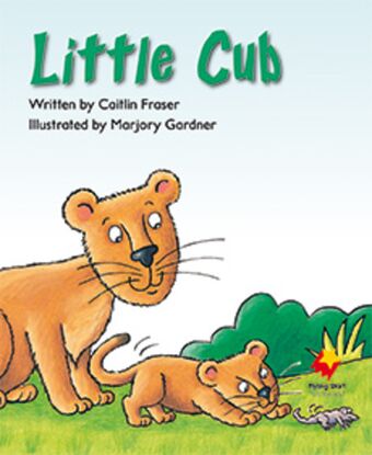 Little Cub book cover