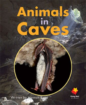 Animals in Caves book cover