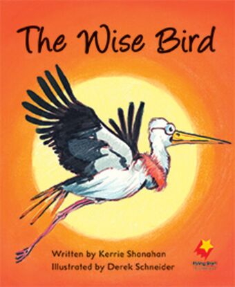 The Wise Bird book cover