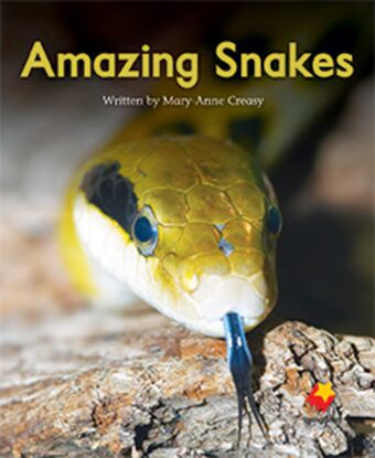 Amazing Snakes book cover